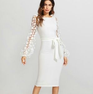 💫✨APPLIQUE MESH SLEEVE FORM FITTING DRESS✨💫